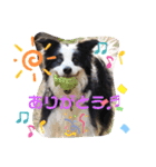 花梨家（個別スタンプ：5）