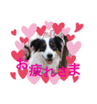 花梨家（個別スタンプ：7）