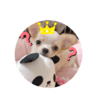 ひまりちゃんのスタンプ2（個別スタンプ：7）