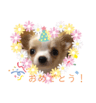 ひまりちゃんのスタンプ2（個別スタンプ：8）