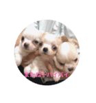 ひまりちゃんスタンプ①（個別スタンプ：8）