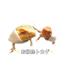ちくめんたい（個別スタンプ：1）