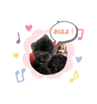 黒プーのモノノア パート2.5（個別スタンプ：4）