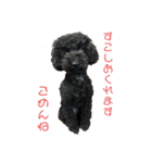 黒プーのモノノア パート2.5（個別スタンプ：8）