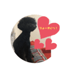 黒プーのモノノア パート2.5（個別スタンプ：10）