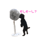 黒プーのモノノア パート2.5（個別スタンプ：14）