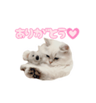 かわいいボンボンスタンプ（個別スタンプ：4）