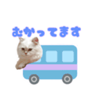 かわいいボンボンスタンプ（個別スタンプ：6）
