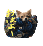 クウチャン（個別スタンプ：7）