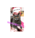 MOFU様（個別スタンプ：1）