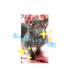 MOFU様（個別スタンプ：2）