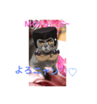 MOFU様（個別スタンプ：4）