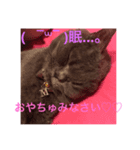 MOFU様（個別スタンプ：6）