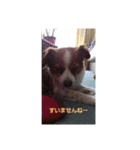 maronstanp（個別スタンプ：9）