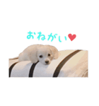 ちくわ スタンプ（個別スタンプ：7）