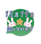 12月19日記念日うさぎ（個別スタンプ：30）