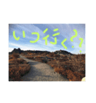 アラスカ、ん？（個別スタンプ：4）