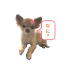 テト＆ユパ（個別スタンプ：2）