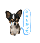 テト＆ユパ（個別スタンプ：4）