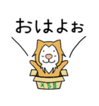 猫の「ししまる」01（個別スタンプ：1）