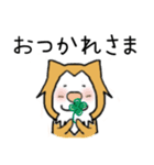 猫の「ししまる」01（個別スタンプ：5）