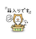 猫の「ししまる」01（個別スタンプ：7）