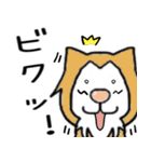猫の「ししまる」01（個別スタンプ：10）