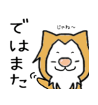 猫の「ししまる」01（個別スタンプ：11）