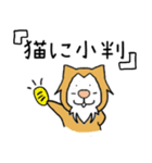 猫の「ししまる」01（個別スタンプ：15）