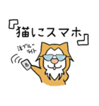 猫の「ししまる」01（個別スタンプ：16）