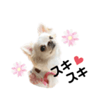 可愛いルルのおはなし❷（個別スタンプ：3）