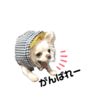 可愛いルルのおはなし❷（個別スタンプ：6）
