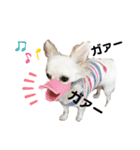 可愛いルルのおはなし❷（個別スタンプ：7）