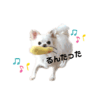 可愛いルルのおはなし❷（個別スタンプ：12）