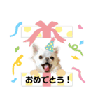 可愛いルルのおはなし❷（個別スタンプ：17）