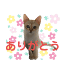 ヨコハマの男  ピノ☆（個別スタンプ：7）