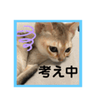 ヨコハマの男  ピノ☆（個別スタンプ：13）