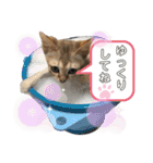 ヨコハマの男  ピノ☆（個別スタンプ：20）