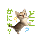 ヨコハマの男  ピノ☆（個別スタンプ：30）