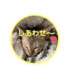 ヨコハマの男  ピノ☆（個別スタンプ：32）