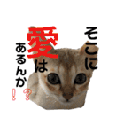 ヨコハマの男  ピノ☆（個別スタンプ：34）