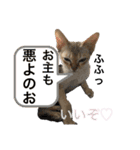 ヨコハマの男  ピノ☆（個別スタンプ：35）