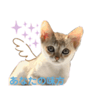 ヨコハマの男  ピノ☆（個別スタンプ：39）
