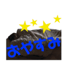 山田村ゼロハンツーリングクラブ公式（個別スタンプ：11）