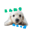 青空日記！！青空くんのLINEスタンプ♫（個別スタンプ：1）