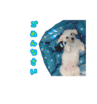 青空日記！！青空くんのLINEスタンプ♫（個別スタンプ：3）