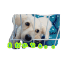 青空日記！！青空くんのLINEスタンプ♫（個別スタンプ：4）