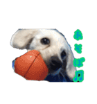 青空日記！！青空くんのLINEスタンプ♫（個別スタンプ：8）