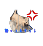 青空日記！！青空くんのLINEスタンプ♫（個別スタンプ：9）