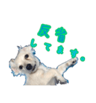 青空日記！！青空くんのLINEスタンプ♫（個別スタンプ：14）